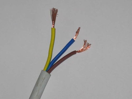 RVV电线,电线,电线电缆,布电线生产供应商 电线电缆